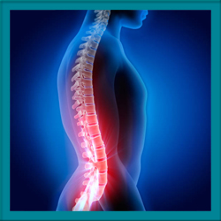 Spinal Disorder Doctor